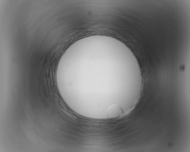 X0000110760186200906150938