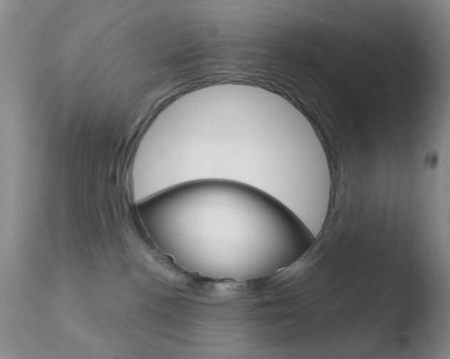 X0000110760188200906150938