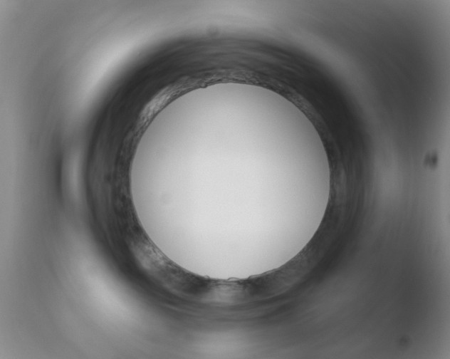 X0000110760189200906150938