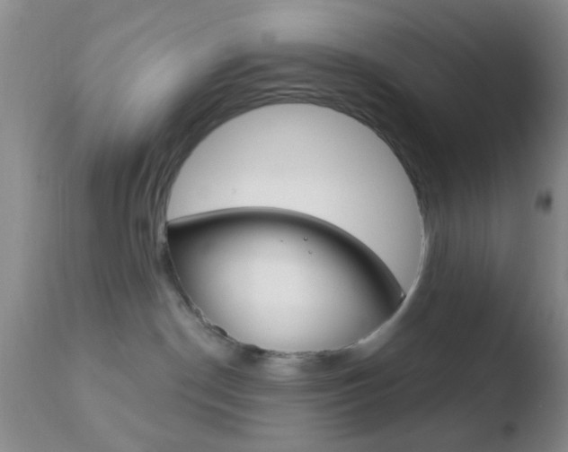X0000110760190200906150938