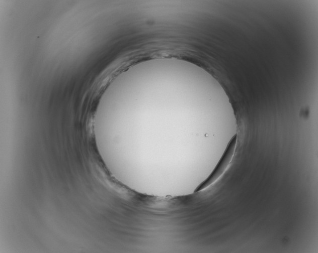 X0000110760191200906150938