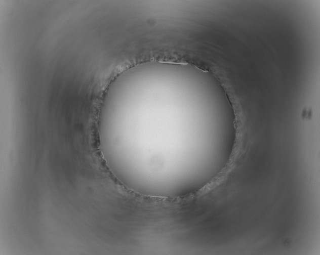 X0000110760192200906150938