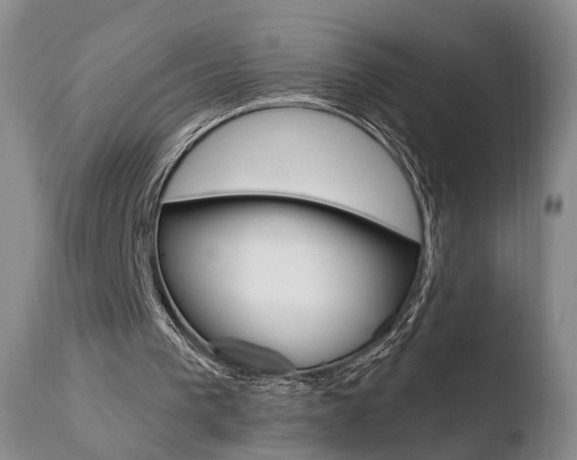 X0000110760193200906150938