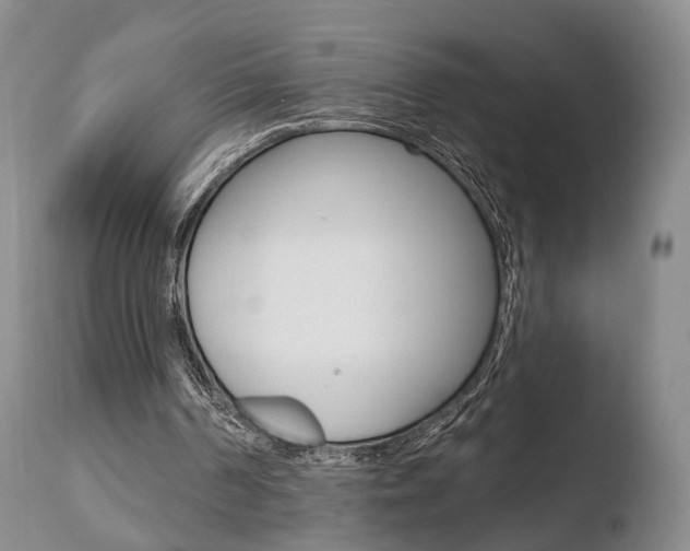 X0000110760194200906150938