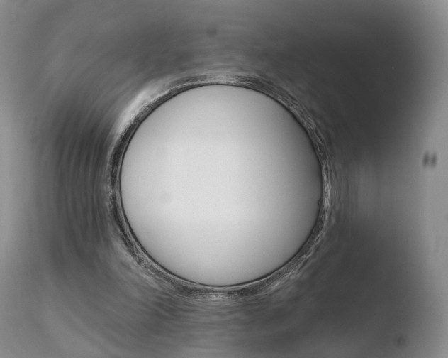 X0000110760198200906150938