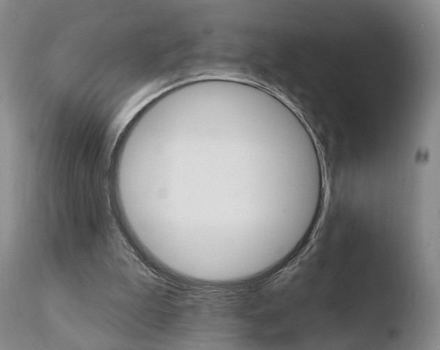 X0000110760199200906150938