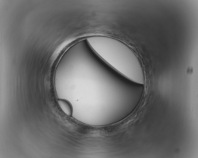 X0000110760200200906150938