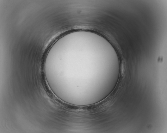 X0000110760204200906150937