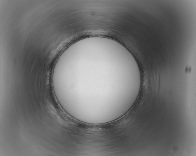 X0000110760206200906150937