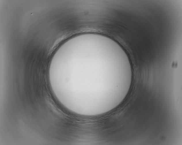 X0000110760207200906150937