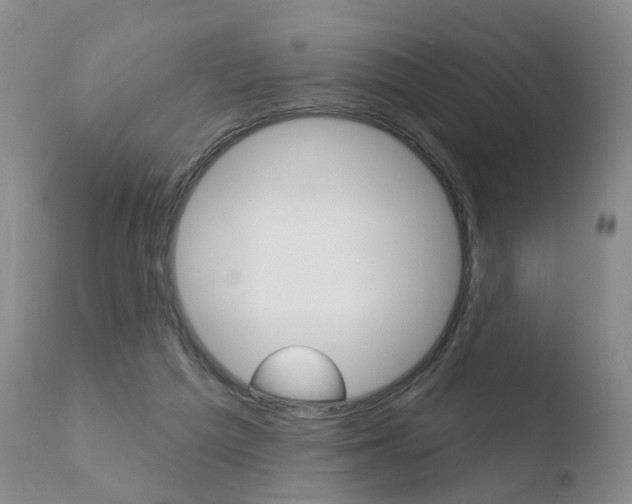 X0000110760209200906150937