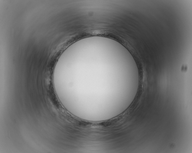 X0000110760210200906150937