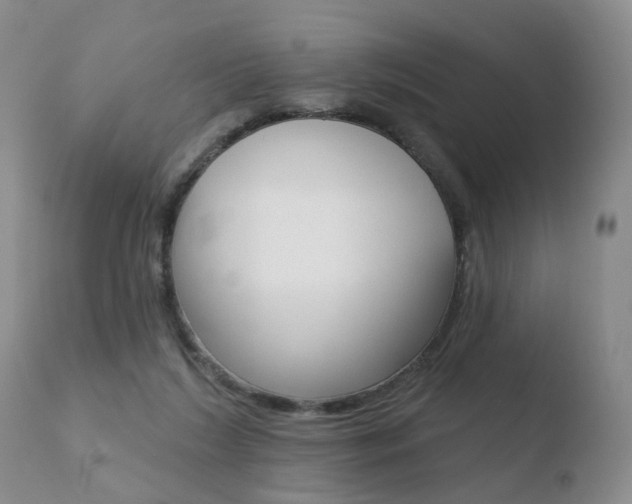 X0000110760212200906150937