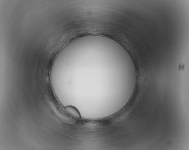 X0000110760213200906150937