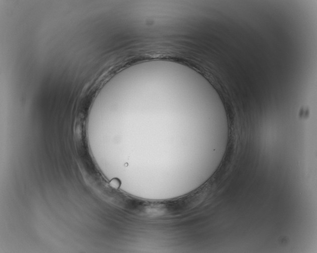 X0000110760214200906150937