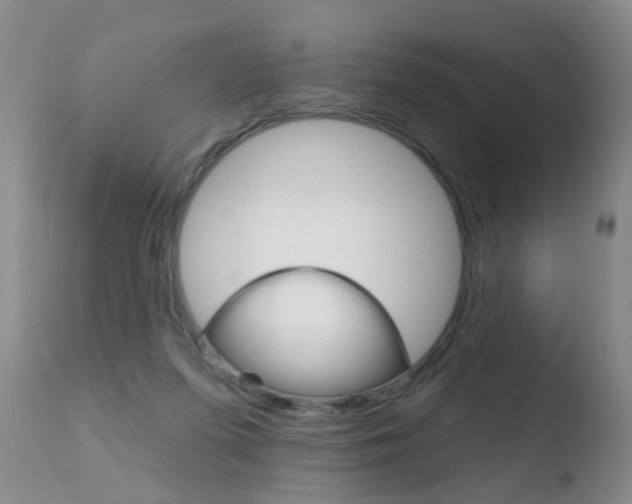 X0000110760215200906150937