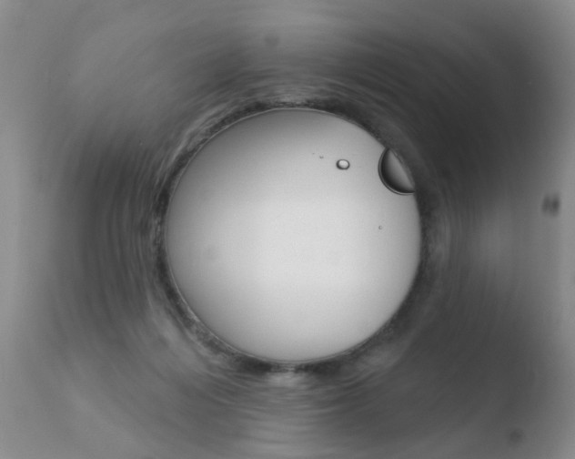 X0000110760216200906150937