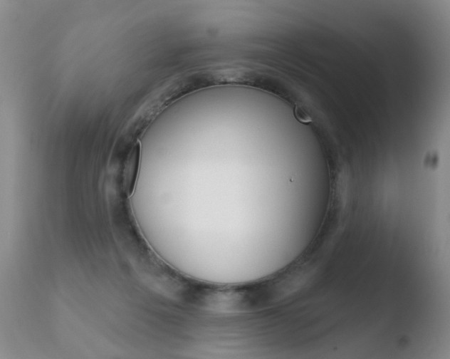 X0000110760217200906150937