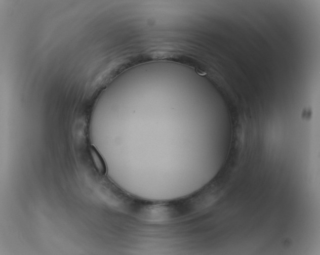 X0000110760219200906150937