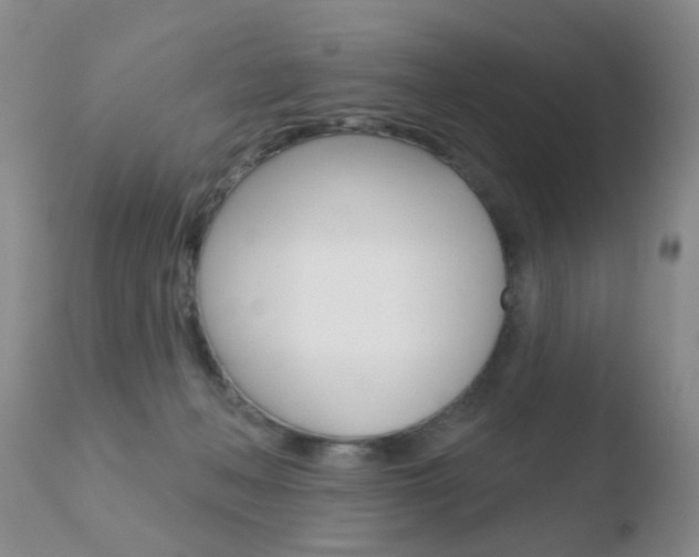 X0000110760222200906150937