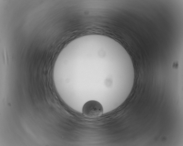 X0000110760223200906150937