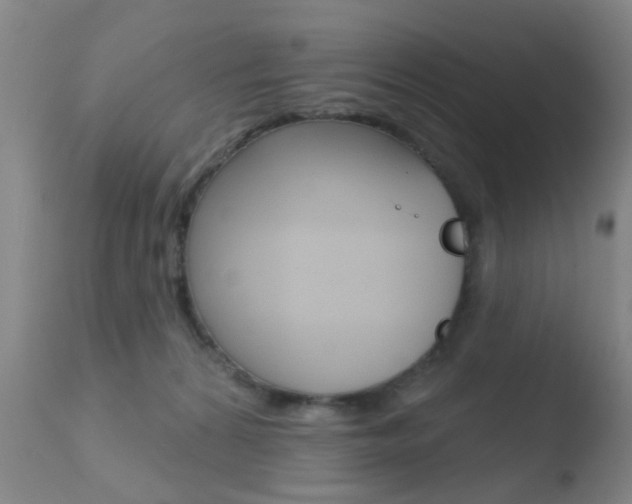 X0000110760224200906150937