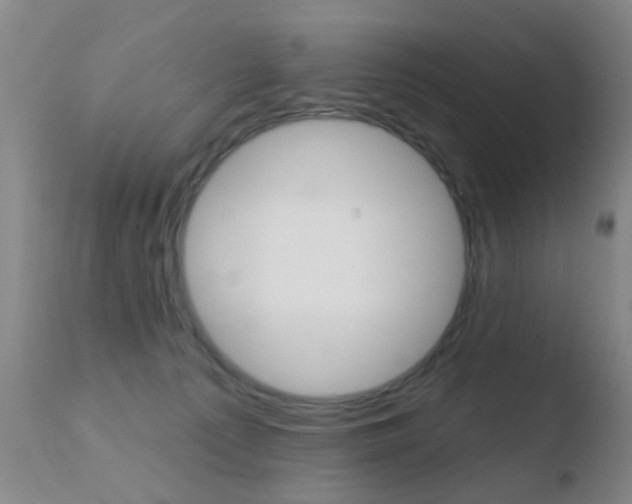 X0000110760225200906150937