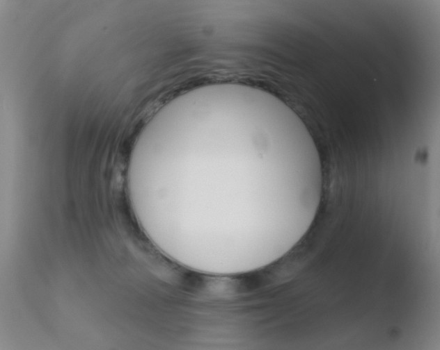 X0000110760226200906150937