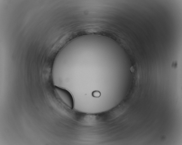 X0000110760227200906150937