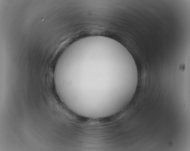 X0000110760228200906150937
