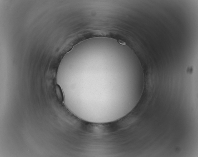 X0000110760229200906150937