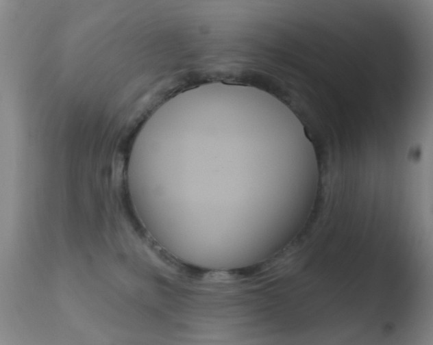 X0000110760231200906150937
