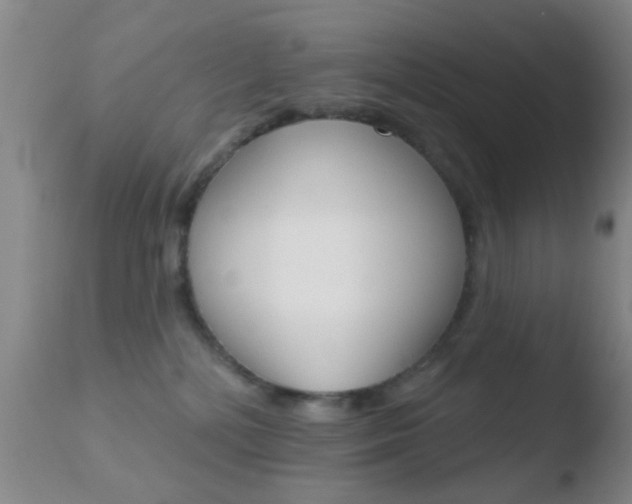 X0000110760232200906150937