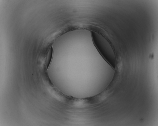 X0000110760235200906150937