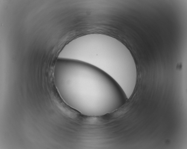 X0000110760237200906150937