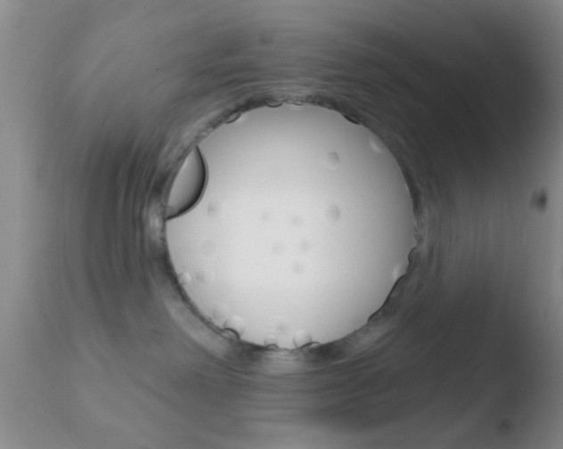X0000110760238200906150937