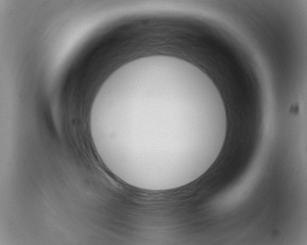 X0000110760239200906150937