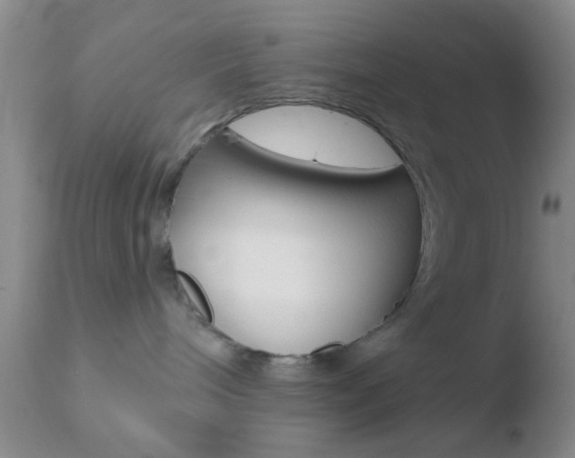 X0000110760240200906150937