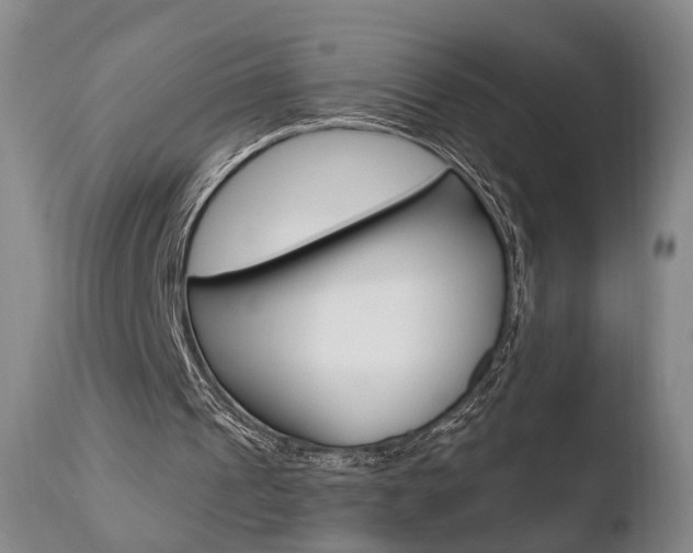 X0000110760241200906150936
