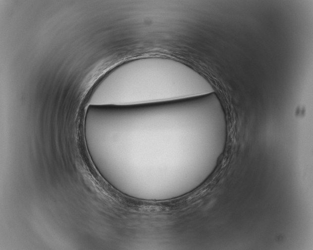 X0000110760242200906150936