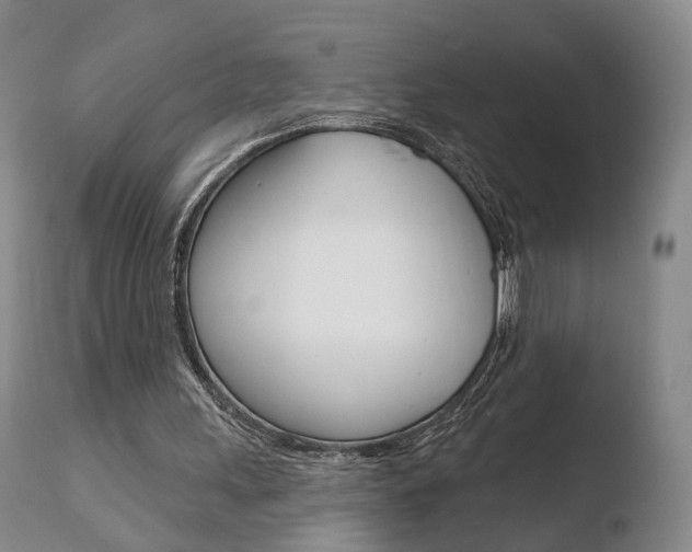 X0000110760243200906150936