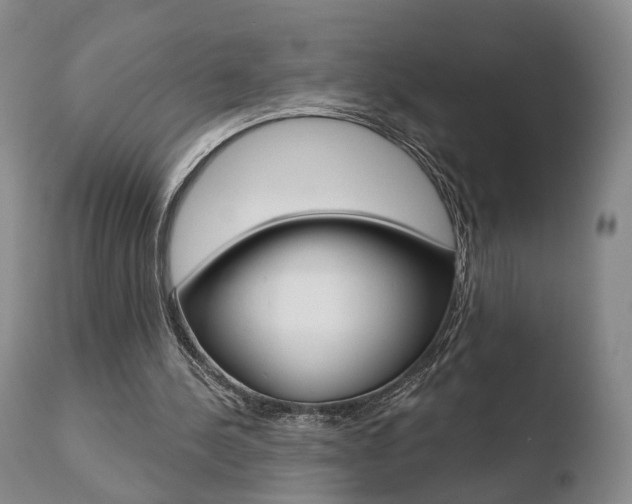 X0000110760244200906150936