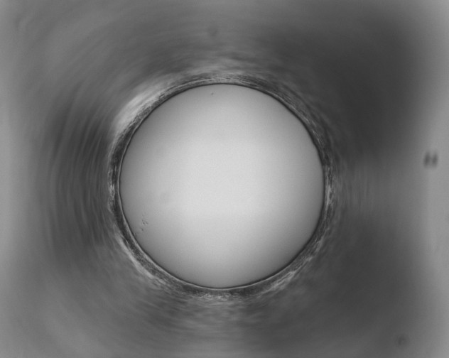 X0000110760245200906150936