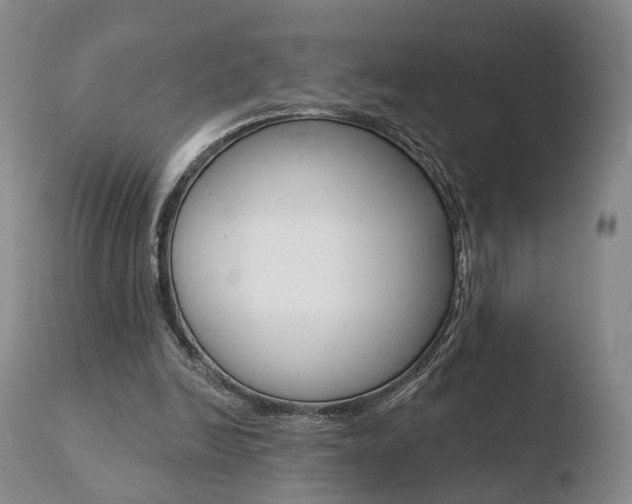 X0000110760246200906150936