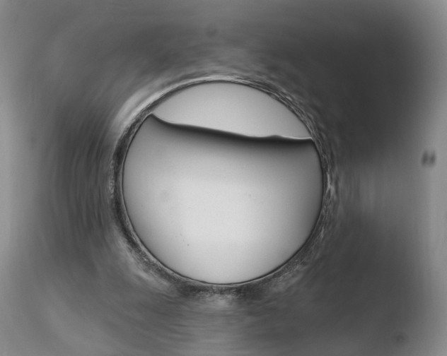X0000110760247200906150936