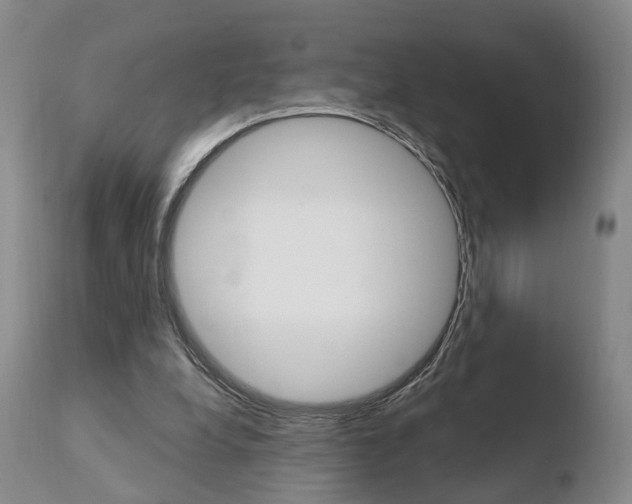 X0000110760248200906150936