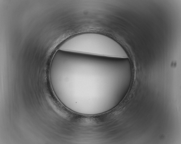 X0000110760250200906150936