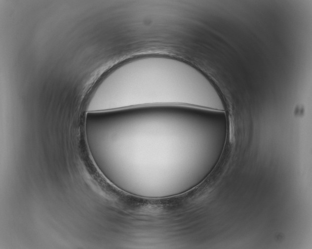 X0000110760252200906150936