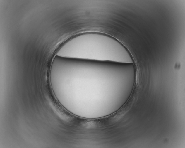 X0000110760253200906150936
