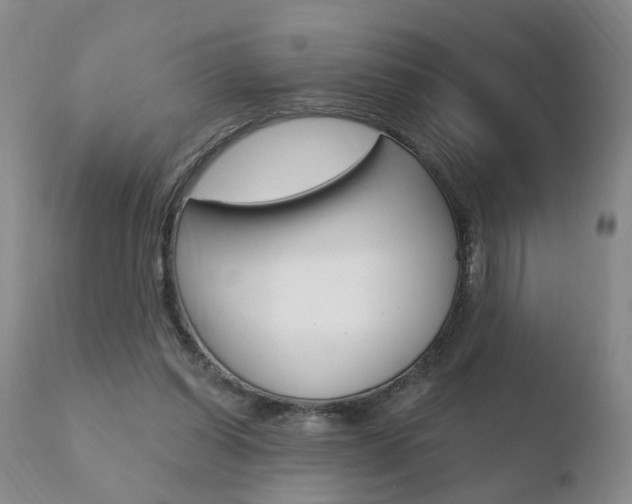 X0000110760254200906150936